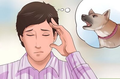 How to Get Used to Dogs