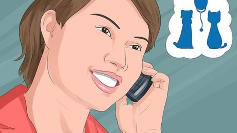 How to Have a Successful Visit to the Vet