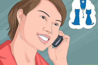 How to Have a Successful Visit to the Vet