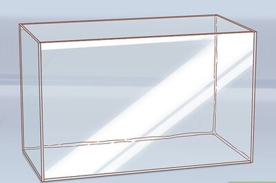 How to House a Pet Axolotl