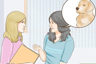 How to Adopt Multiple Dogs at One Time