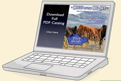 How to Read, Understand, and Use Expected Progeny Differences (EPDs) in Cattle