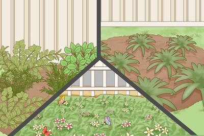 How to Grow a Garden