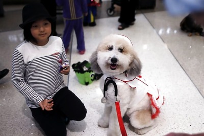 Dogs May Help Protect Kids From Allergies, Obesity