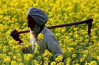 Amritsar on India’s G20 Presidency Map Can be Punjab’s Opportunity to Showcase Potential for Rural Tourism
