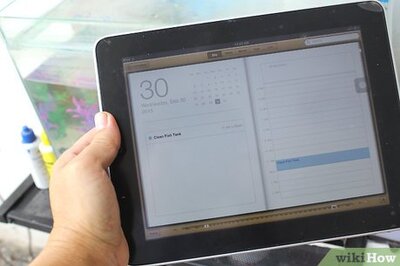 How to Clean a Small Fishtank