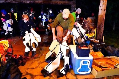 Crews Vacuum 'Murder Hornets' Out Of Washington Nest