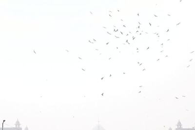 No Coal Burning in Hotels, LPG to All: IIT Kanpur Study Suggests 10 Ways to Curb Air Pollution in Delhi-NCR