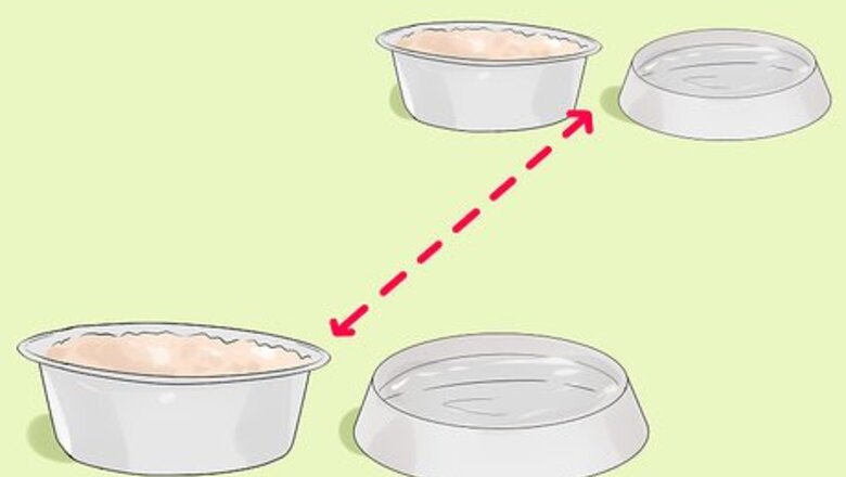How to Prevent Fights Between Cats