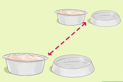 How to Prevent Fights Between Cats