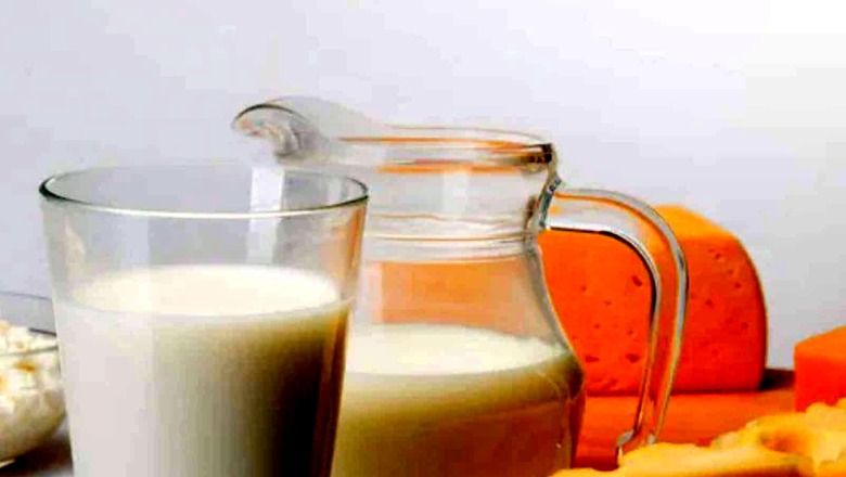 5 Reasons Why You Must Include Cheese in Your Daily Diet