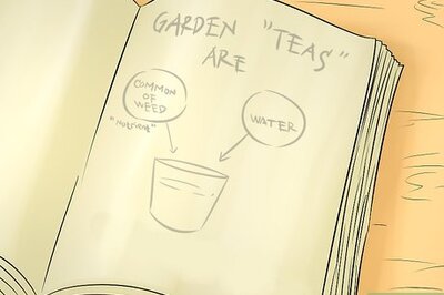 How to Make Homemade Plant Fertilizer