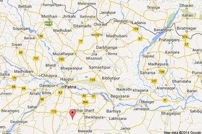 Forest cover increases to 12.86 per cent in Bihar: P K Shahi