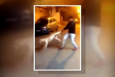Man arrested for swinging a dog and throwing him into the air