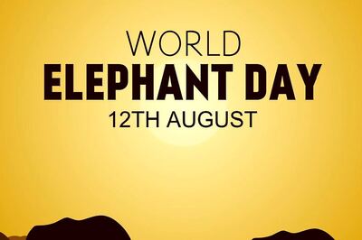 World Elephant Day 2023: Why is August 12 a Elephant Day? Theme, History and Significance