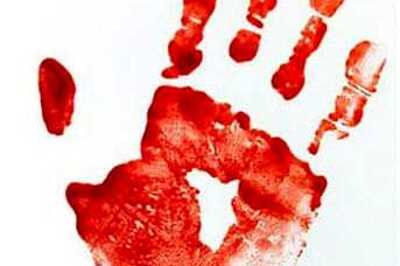 Shimla: Newly elected Cong MLA booked for murder