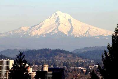 16-year-old Indian-origin Climber from Canada Survives 500-feet Fall from US Peak