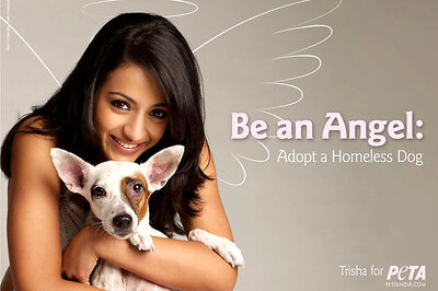 A big no to animal cruelty: Trisha Krishnan