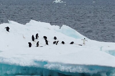 UN Red Alert on Climate Change: Drastically Reducing Greenhouse Gas Emissions Only Way Out for Earth