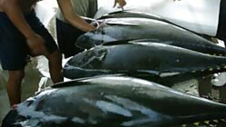 Omega-3 fatty acids may treat depression