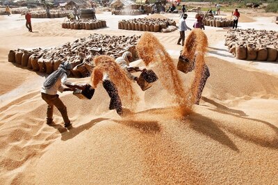 OPINION | Diversification: An Essential Step for Nutritional Security and Sustainable Agriculture