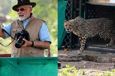 Year of Cheetah and High-speed Trains: Here Are Projects Under Modi Regime that Set the Pace in 2022