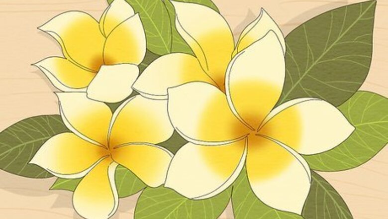 How to Make a Lei