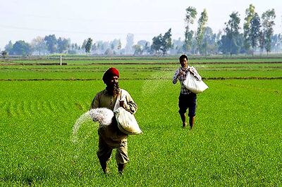 Economy posts 4.5 pc growth in Oct-Dec quarter