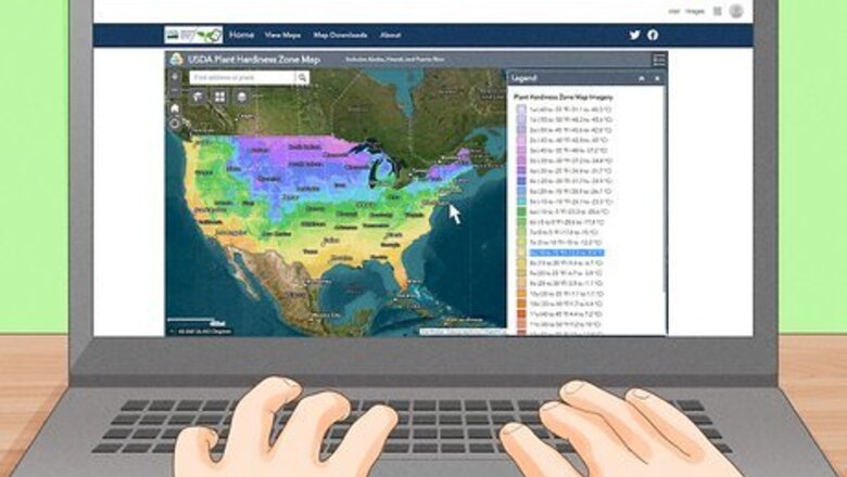 How to Start a Vegetable Garden