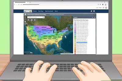 How to Start a Vegetable Garden