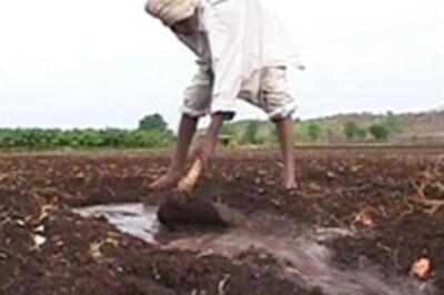 India drought may trigger world sugar crisis