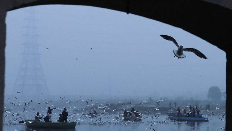 Delhi Speaker Refers to Privileges Committee Issue of BJP MLAs Bringing 'Contaminated' Yamuna Water