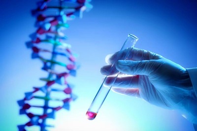 Researchers Find Protein That Can 'Cool Off' Colon Cancer Cells And Detect Damaged DNA