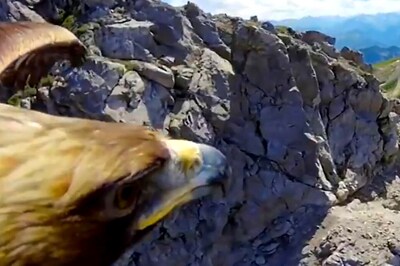 Anand Mahindra Shares Monday Motivation Message With a Stunning 'Bird's Eye View' Video