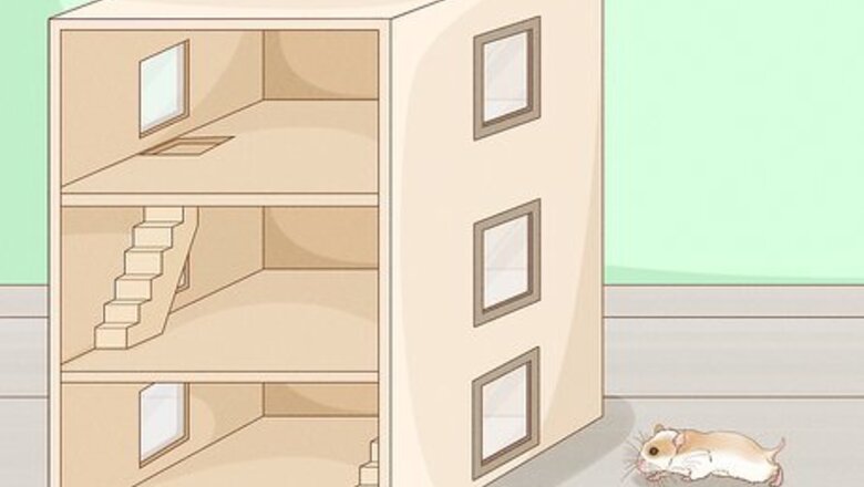 How to Carry a Hamster