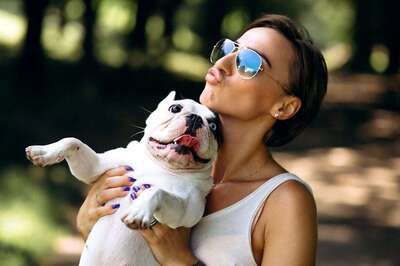 How To Keep Your Pet Safe From Summer Heat