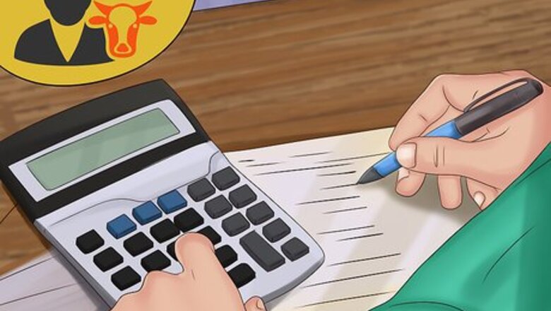 How to Know when to Find a New Vet