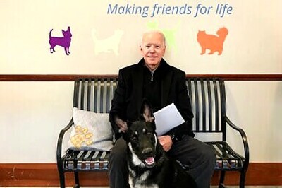 It's Major: Pets Poised For A Return To The White House