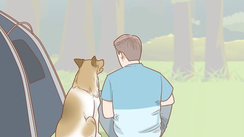 How to Take Your Dog Camping
