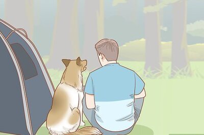 How to Take Your Dog Camping