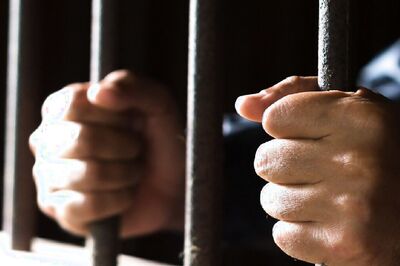 'Our Conscience Is Shaken': Allahabad HC Denies Bail To Temple Priest In 12-year-old Boy's Sexual Assault Case