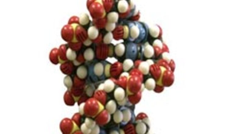 Last human chromosome sequenced