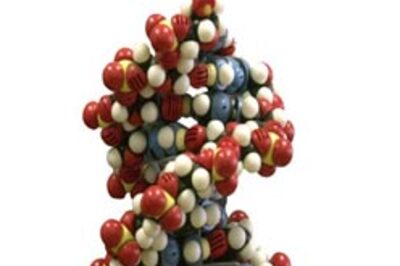 Last human chromosome sequenced