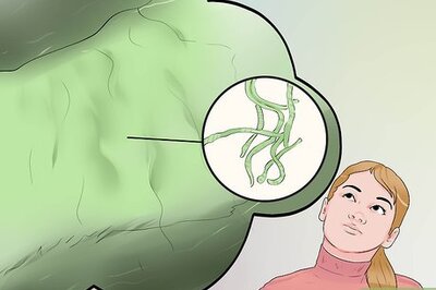 How to Avoid Algae Bloom Toxin