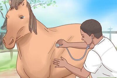 How to Fatten up a Horse