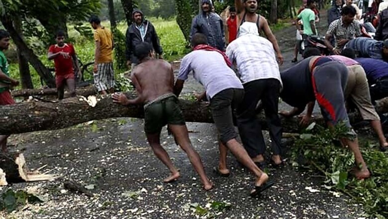Cyclone Phailin: 26 lakh trees destroyed in Odisha