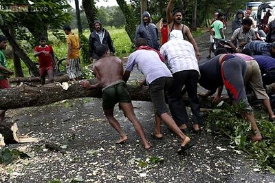 Cyclone Phailin: 26 lakh trees destroyed in Odisha