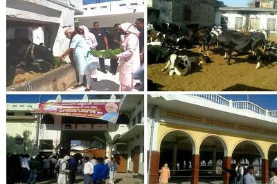 PM Modi Visits Gadwaghat Ashram in Varanasi, Offers Prayers, Feeds Cows
