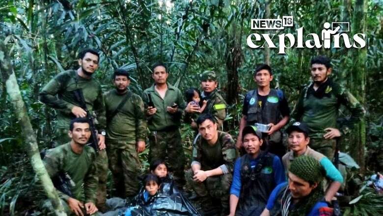 How 4 Children, Including a 1-yr-old, Survived in Amazon Forest for 40 Days After a Crash | EXPLAINED