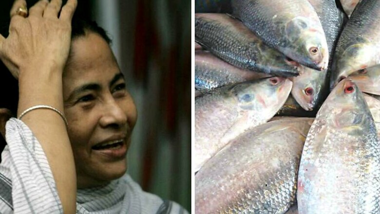 Dhaka Sends Hilsa, Molasses, Sari for Mamata's Swearing-in Ceremony